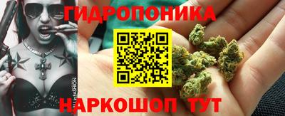 стафф Чапаевск