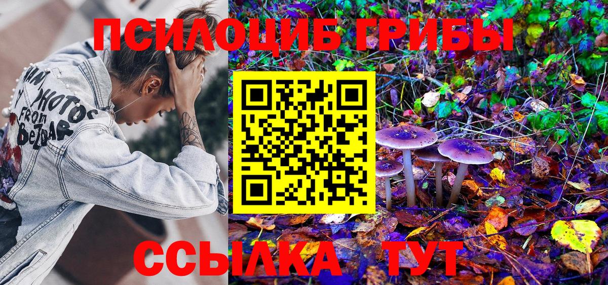Псилоцибиновые грибы прущие грибы  Вход с VPN  Междуреченск 