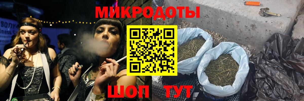 Псилоцибиновые грибы Psilocybine cubensis Междуреченск
